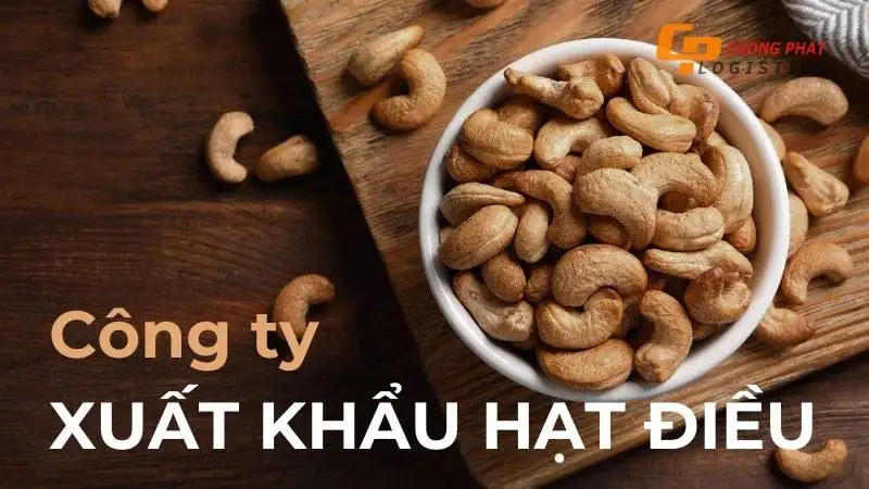 TOP 7 công ty xuất khẩu hạt điều lớn nhất Việt Nam
